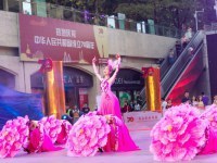 上海演出節(jié)目經(jīng)紀(jì)公司 藝術(shù)與市場(chǎng)的完美橋梁