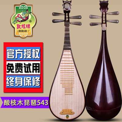 熱銷(xiāo)樂(lè)器配件_ 敦煌琵琶543酸枝木如意頭飾白牛角相軫琵琶上海民族樂(lè)器送配件