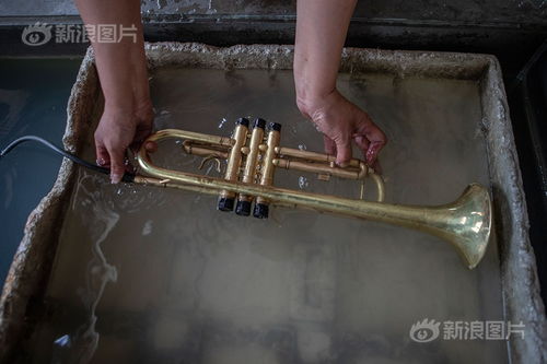 一個(gè)都不能少 他們在音符中致富