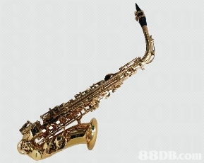 我們專為學校提供各類中西優貿的入門樂器 樂器配件及用品,并以直銷價發售,多年來深受全港多間學校歡迎并支持使用,信心保證