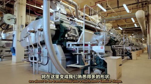 玉米粒是如何在加工廠里變身成玉米片的 工廠里究竟隱藏了怎樣的魔法機器